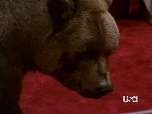 Nash Bridges Season 6 Episode 11 - Bear Trap