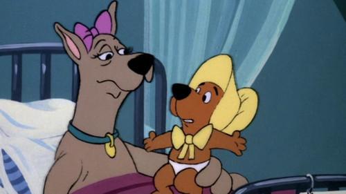 Scooby-Doo and Scrappy-Doo Season 2 Episode 21 - Scrappy's Birthday