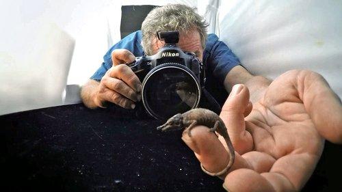 Rare: Creatures of the Photo Ark Season 1 Episode 1 - Episode 1