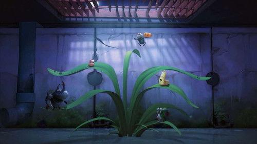 Larva Season 1 Episode 81 - Moonlight Waltz