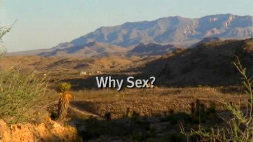 Evolution Season 1 Episode 5 - Why Sex?