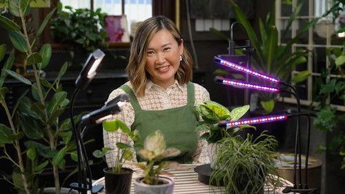 Gardening Australia Season 35 Episode 15 - Episode 15 Autumn: Frog ponds and chrysanthemums