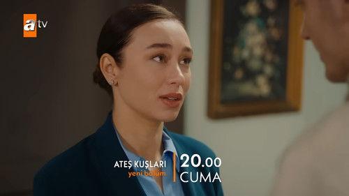 Street Birds Season 2 Episode 20 - Episode 41