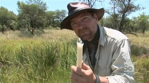 Survivorman Season 2 Episode 4 - African Plains