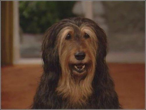 Married... with Children Season 9 Episode 17 - 25 Years and What Do You Get?