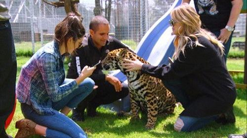 Keeping Up with the Kardashians Season 11 Episode 5 - Lions, Tigers and Texts