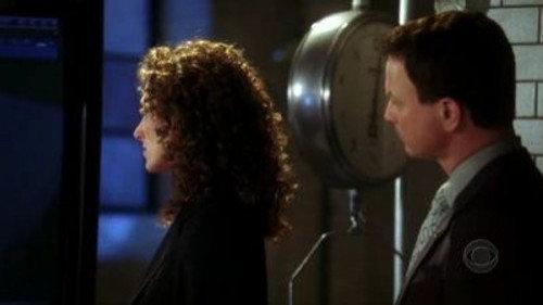 CSI: NY Season 1 Episode 16 - Hush