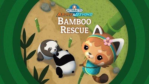 Octonauts: Above & Beyond Season 1 Episode 13 - The Octonauts and the Bamboo Rescue