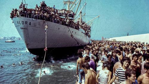 Ossi di Seppia - Il rumore della memoria Season 3 Episode 12 - Episode 12