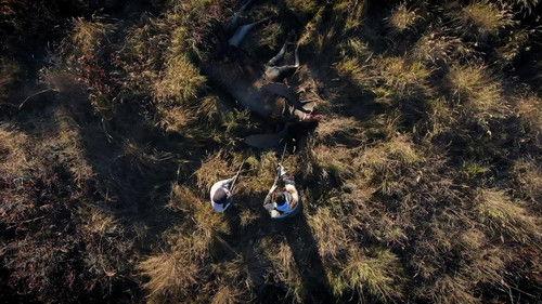 Life Below Zero Season 19 Episode 1 - Blood on the Ground