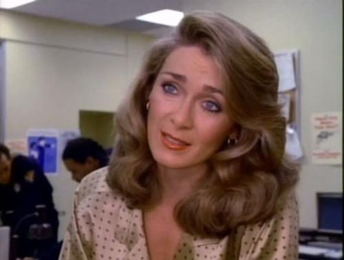 Sledge Hammer! Season 1 Episode 15 - Haven't Gun, Will Travel