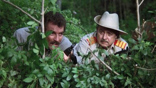 Magnum, P.I. Season 6 Episode 14 - Mad Dogs and Englishmen