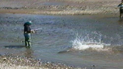 Funniest Pets & People Season 1 Episode 6 - Soak Up the Sun