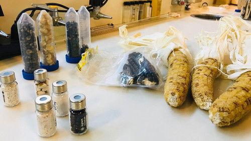 Ça vaut le coût Season 7 Episode 15 - Episode 15