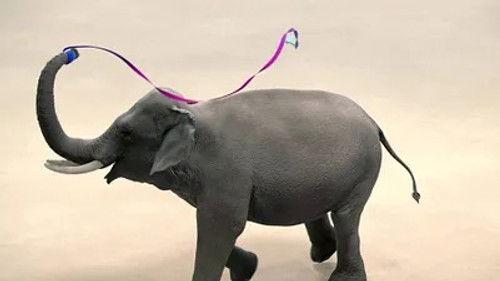 Athleticus Season 1 Episode 8 - Episode 8