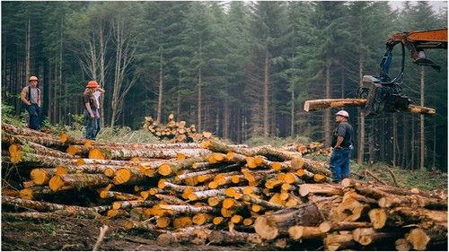 Ax Men Season 7 Episode 10 - Logger Down