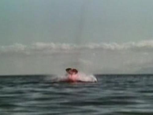 undefined Season 4 Episode 12 - X-Virus