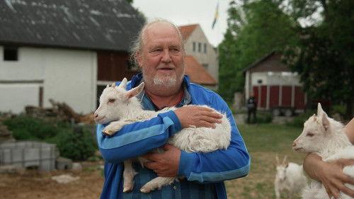 Så mycket bättre Season 11 Episode 8 - Episode 8