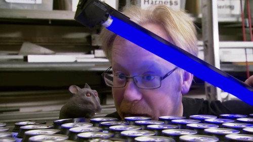 MythBusters Season 7 Episode 22 - Hidden Nasties