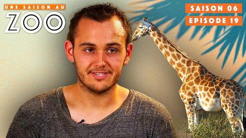 Une saison au zoo Season 6 Episode 19 - Episode 19