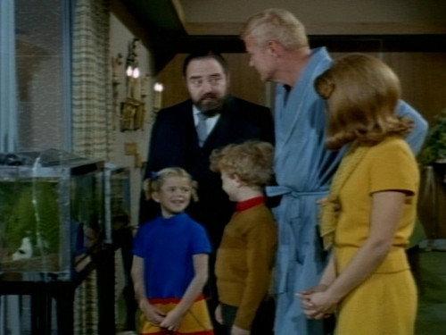 Family Affair Season 2 Episode 19 - The Fish Watchers