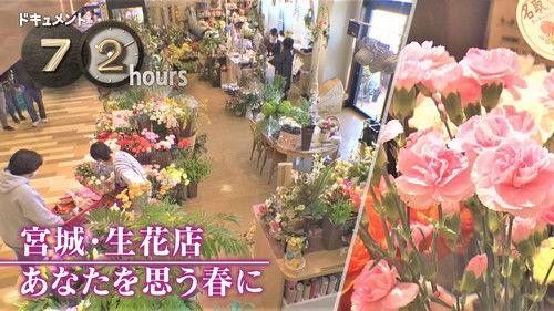 Document 72 Hours Season 13 Episode 7 - Ikebana Shop, Miyagi, In the Spring When I Think of You