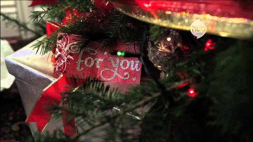 R. L. Stine's The Haunting Hour Season 1 Episode 3 - A Creature Was Stirring