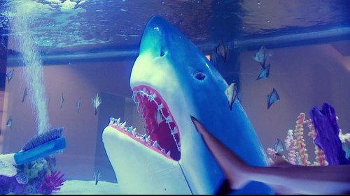 Tanked Season 2 Episode 1 - Fish Out of Water