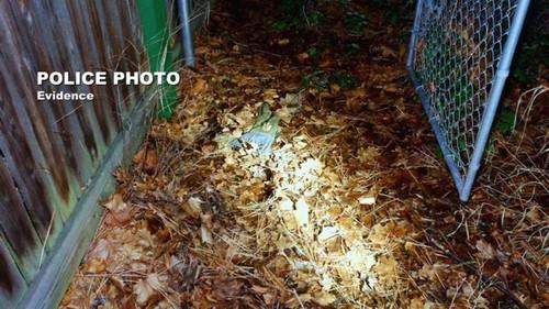 A Plan to Kill Season 1 Episode 9 - The Business of Murder