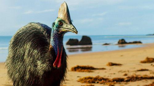 Seven Worlds, One Planet Season 1 Episode 4 - Australia