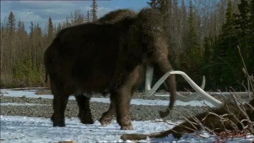 Prehistoric Park Season 1 Episode 2 - A Mammoth Undertaking