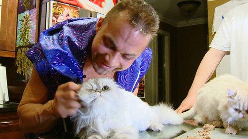 Dangerous Breed: Crime. Cons. Cats. Season 1 Episode 3 - Part 3: Cat and Mouse