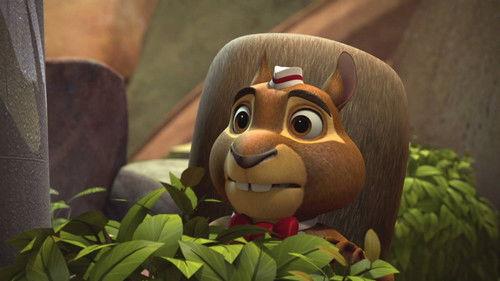 The Wild Adventures of Blinky Bill Season 1 Episode 13 - Notions Eleven