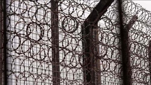 Profissão Repórter Season 17 Episode 8 - Episode 8