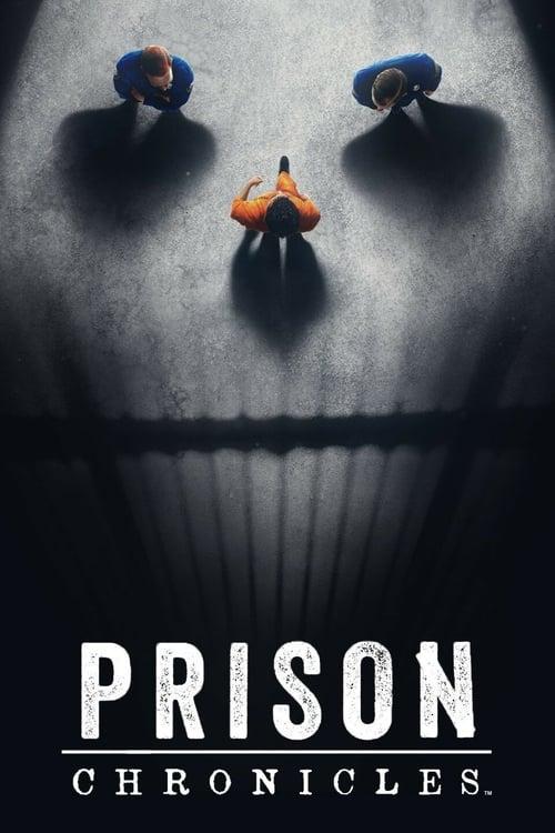 Prison Chronicles poster