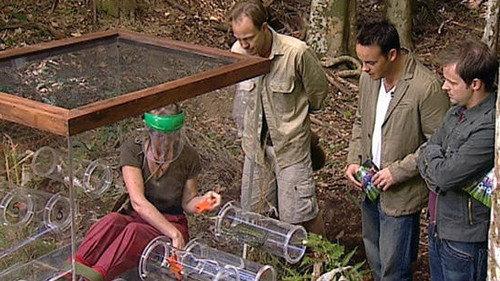 I'm a Celebrity...Get Me Out of Here! Season 6 Episode 7 - Snake Bite