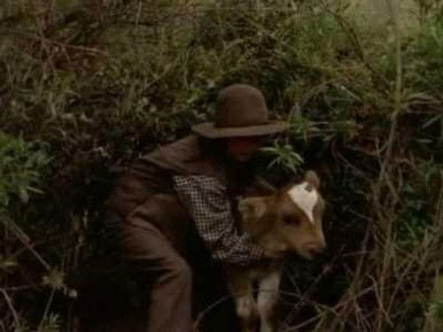 Dr. Quinn, Medicine Woman Season 3 Episode 4 - The Cattle Drive (2)