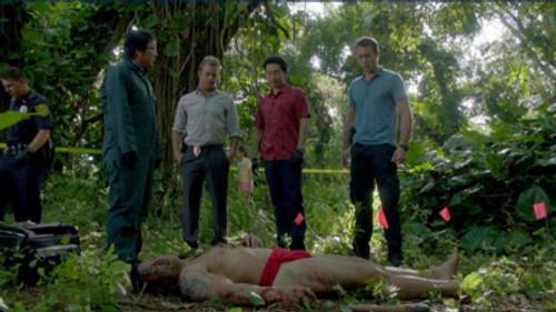 Hawaii Five-0 Season 2 Episode 17 - Kupale (Defender)