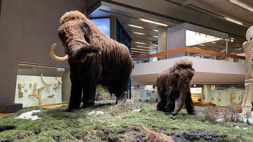 ZDFinfo – die Einzeldokus Season 2025 Episode 2 - Episode 2