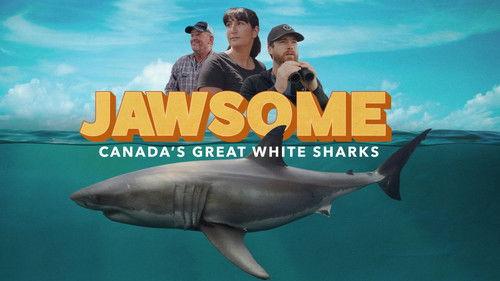 The Nature of Things Season 63 Episode 4 - Jawsome: Canada’s Great White Sharks