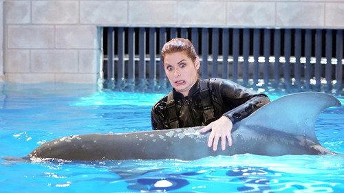 undefined Season 3 Episode 11 - Accidentally on Porpoise