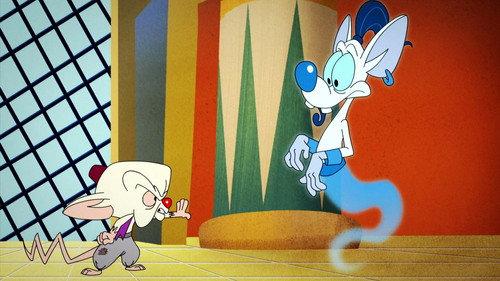 Animaniacs Season 1 Episode 38 - 1001 Narfs
