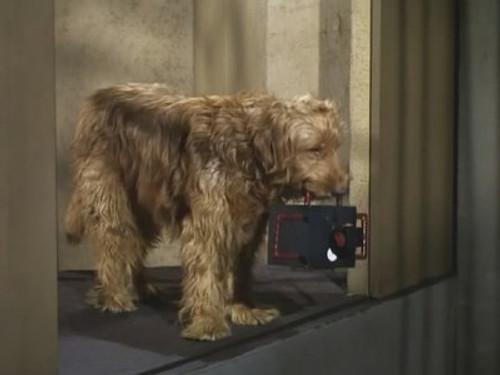 Get Smart Season 1 Episode 23 - I'm Only Human