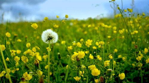 The Mind of a Chef Season 3 Episode 14 - Locality