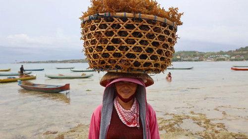 Foreign Correspondent Season 30 Episode 6 - Tomorrow Will Be Better