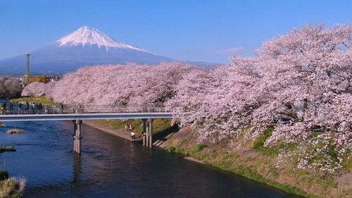 Magical Japanese Season 5 Episode 1 - Spring