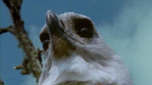 Monsters We Met Season 1 Episode 3 - The End of Eden