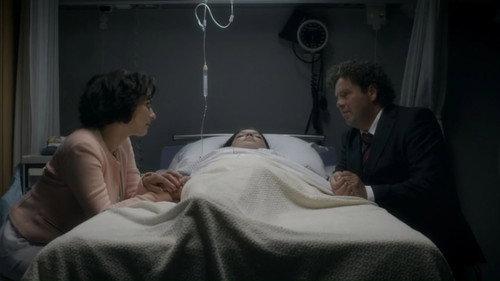 Divorce Season 3 Episode 7 - Cats' game