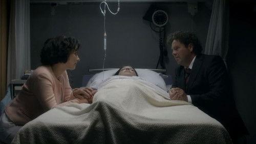 Divorce Season 3 Episode 7 - Cats' game