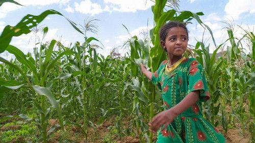 Rick Steves' Europe Season 11 Episode 7 - Ethiopia: A Development Story